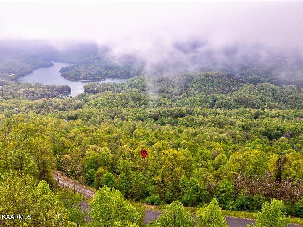 New Tazewell, TN 37825,Lot 196 Clinch View Rd