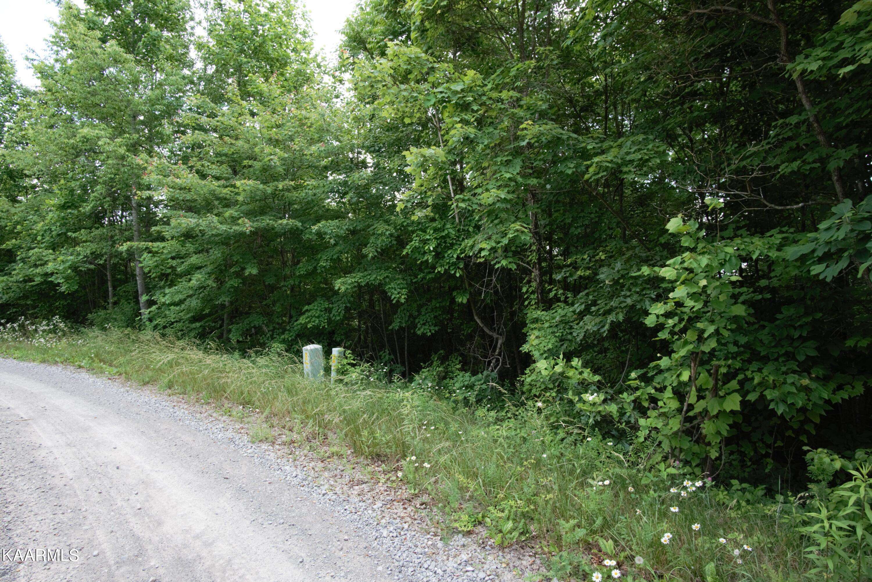 Crawford, TN 38554,Steel Tram Ridge Ln