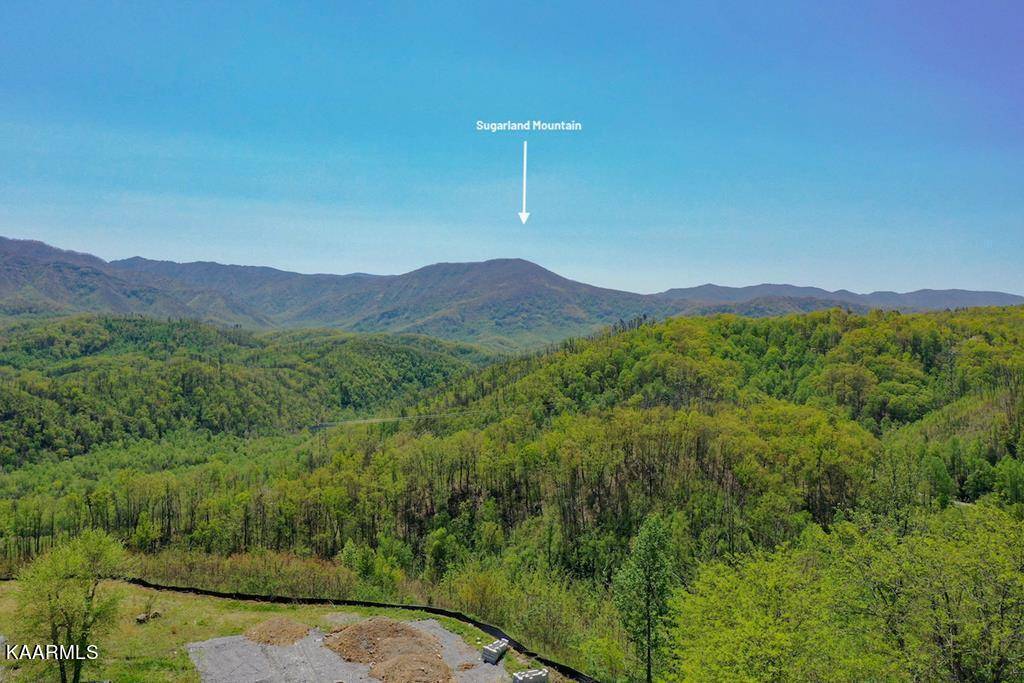 Gatlinburg, TN 37738,855 Campbell Lead Road #306