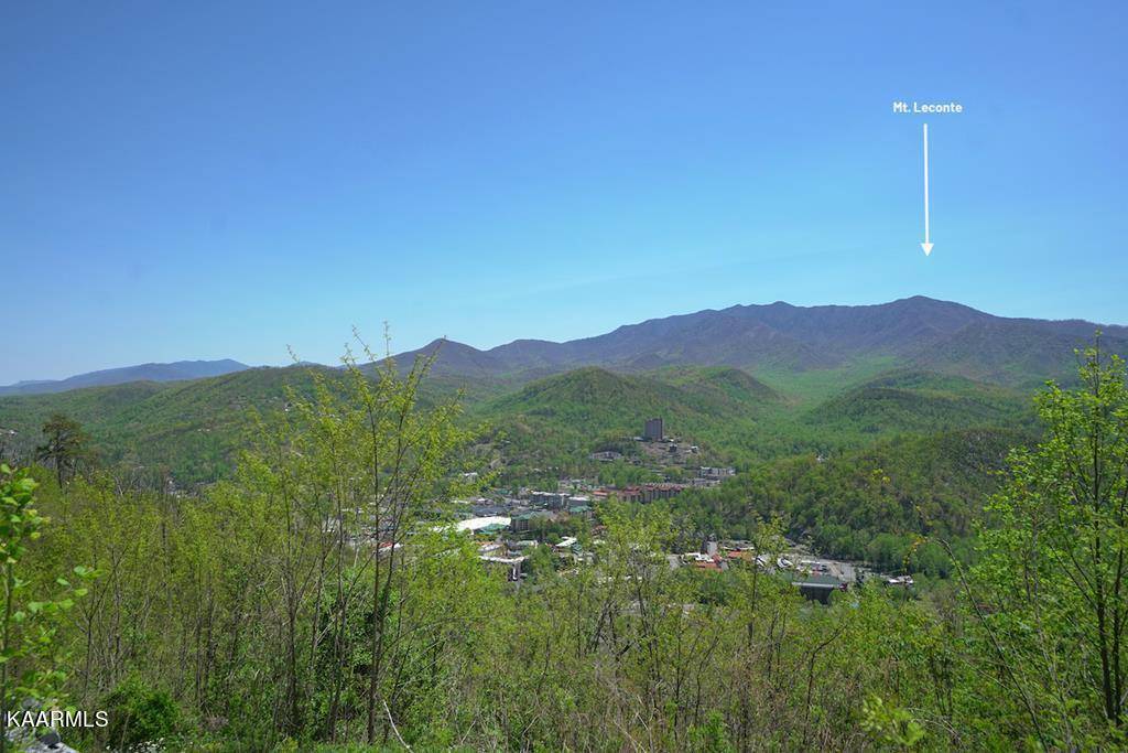 Gatlinburg, TN 37738,855 Campbell Lead Road #306