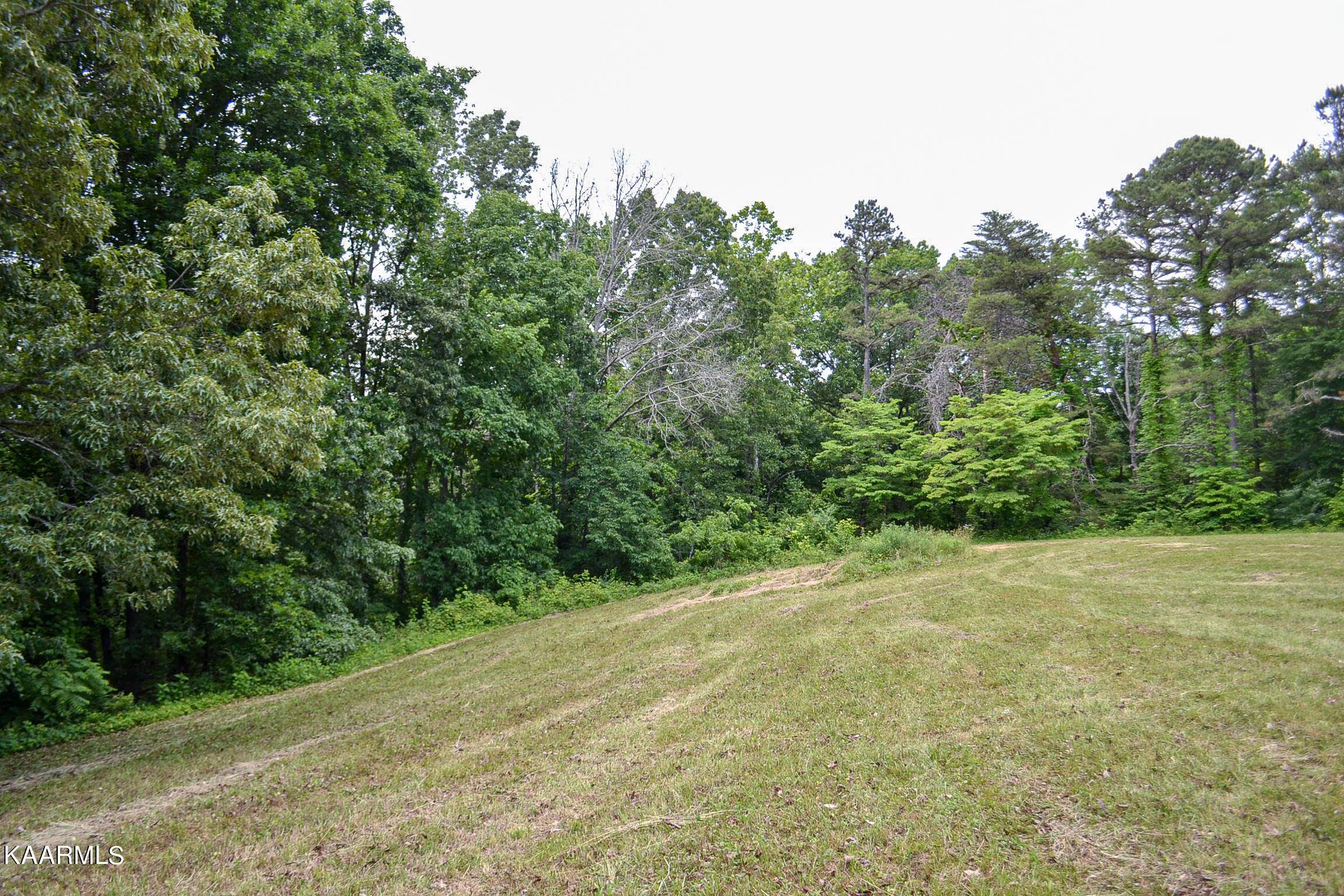 New Tazewell, TN 37825,TBD Cupp Ridge Rd