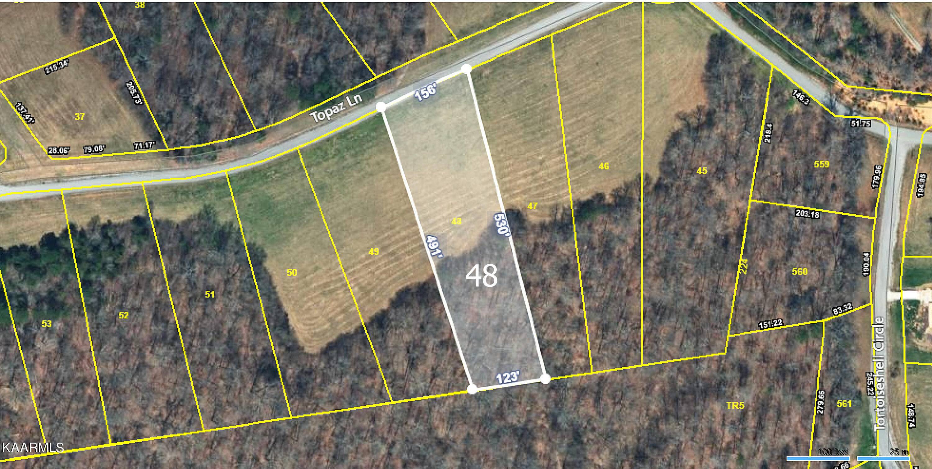 New Tazewell, TN 37825,Lot 48 Topaz LN