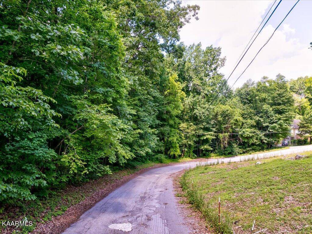 Tazewell, TN 37879,Lot 118 Beeler DR