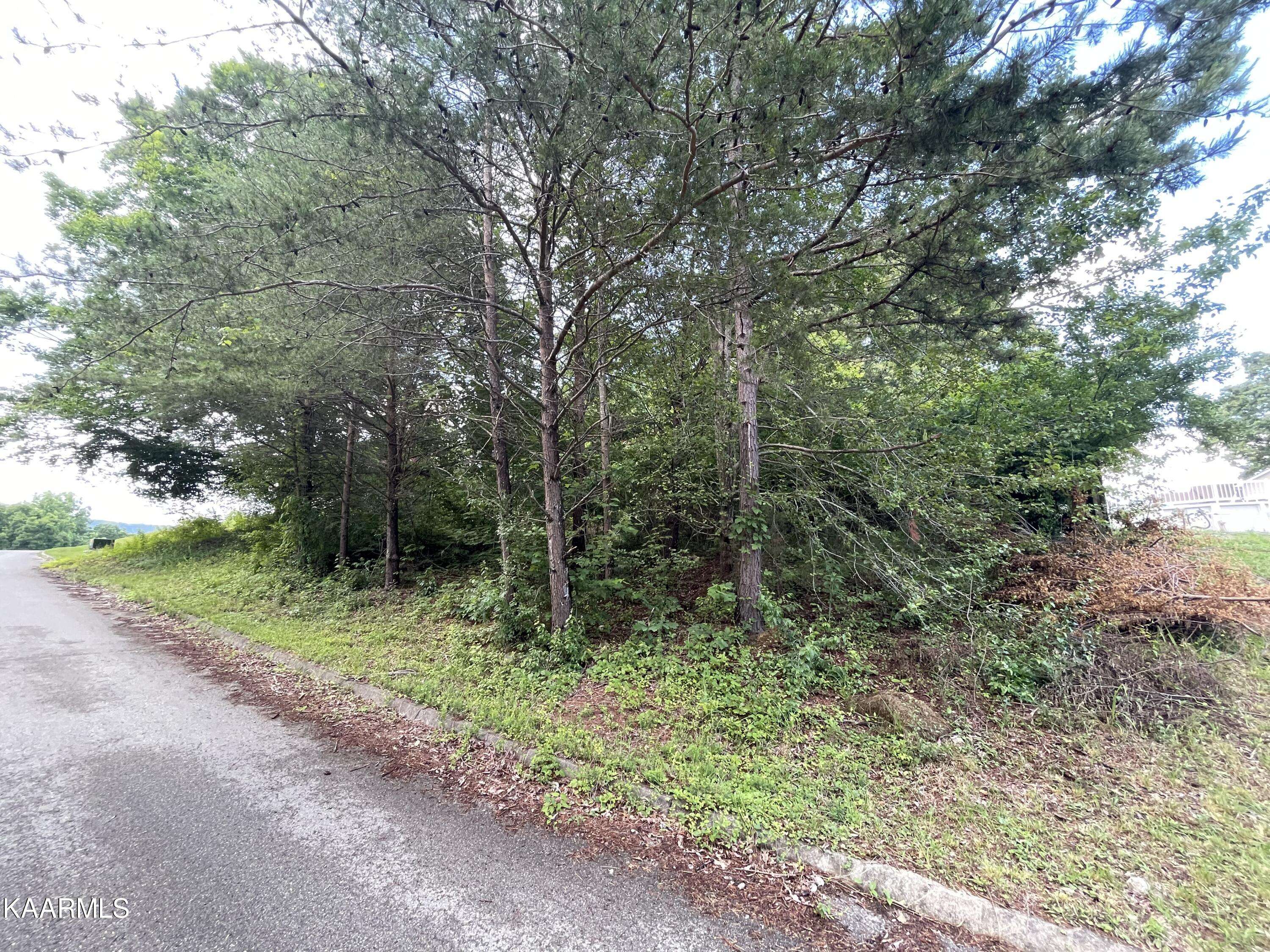 Jacksboro, TN 37757,lot 13 Alpine DR