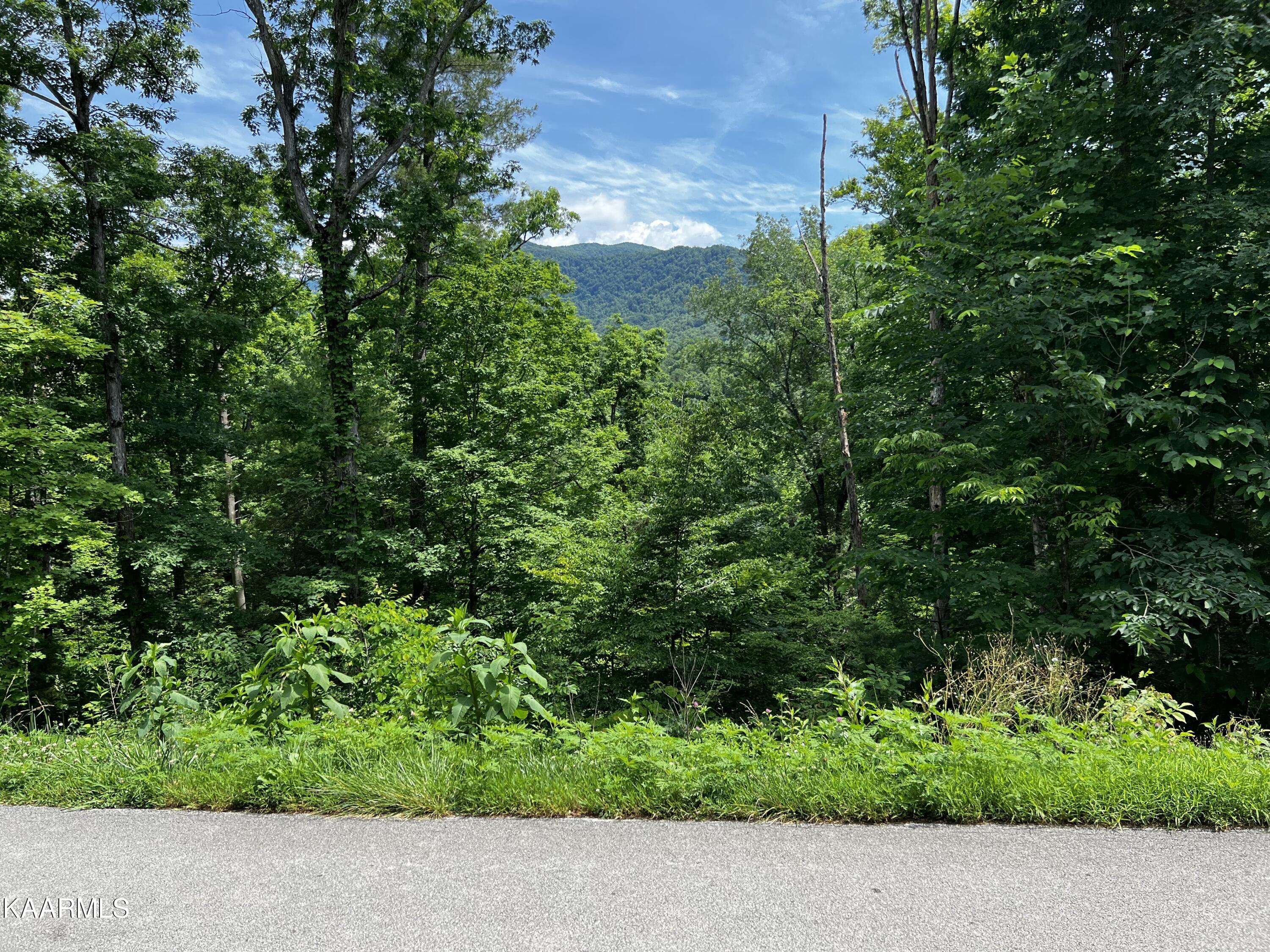 Townsend, TN 37882,Lot 26 Laurel Rd