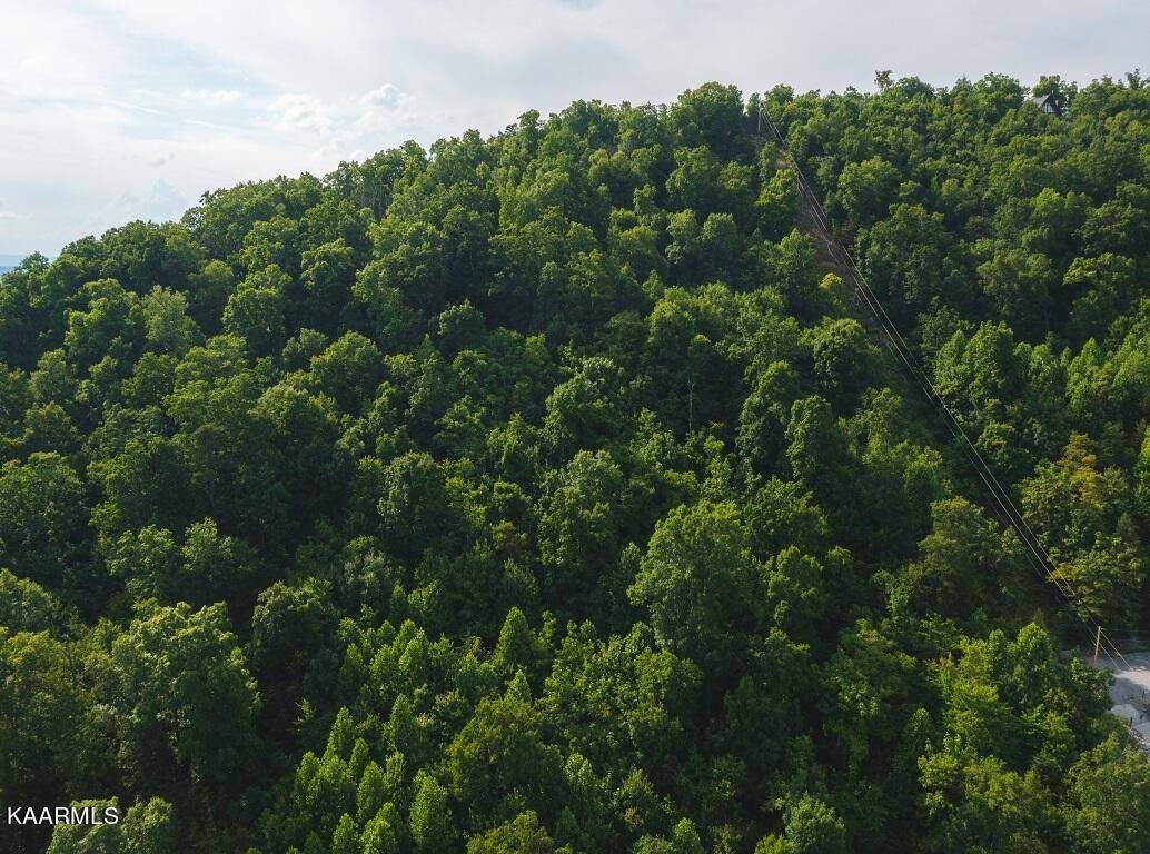 New Tazewell, TN 37825,Lot 655 Chimney Rock Rd