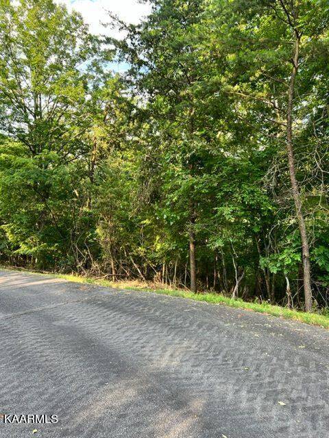 Mooresburg, TN 37811,828 Wilderness DR