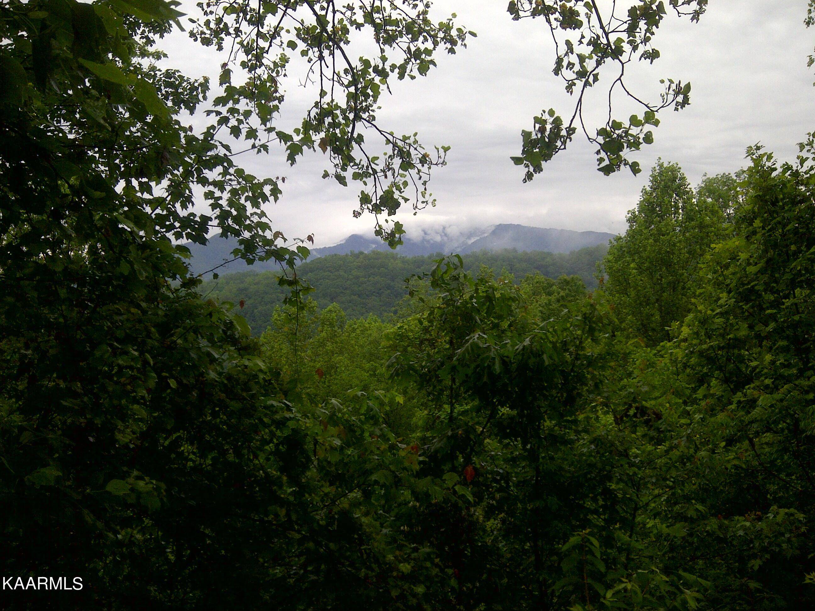 Gatlinburg, TN 37738,Ridge Top LOOP