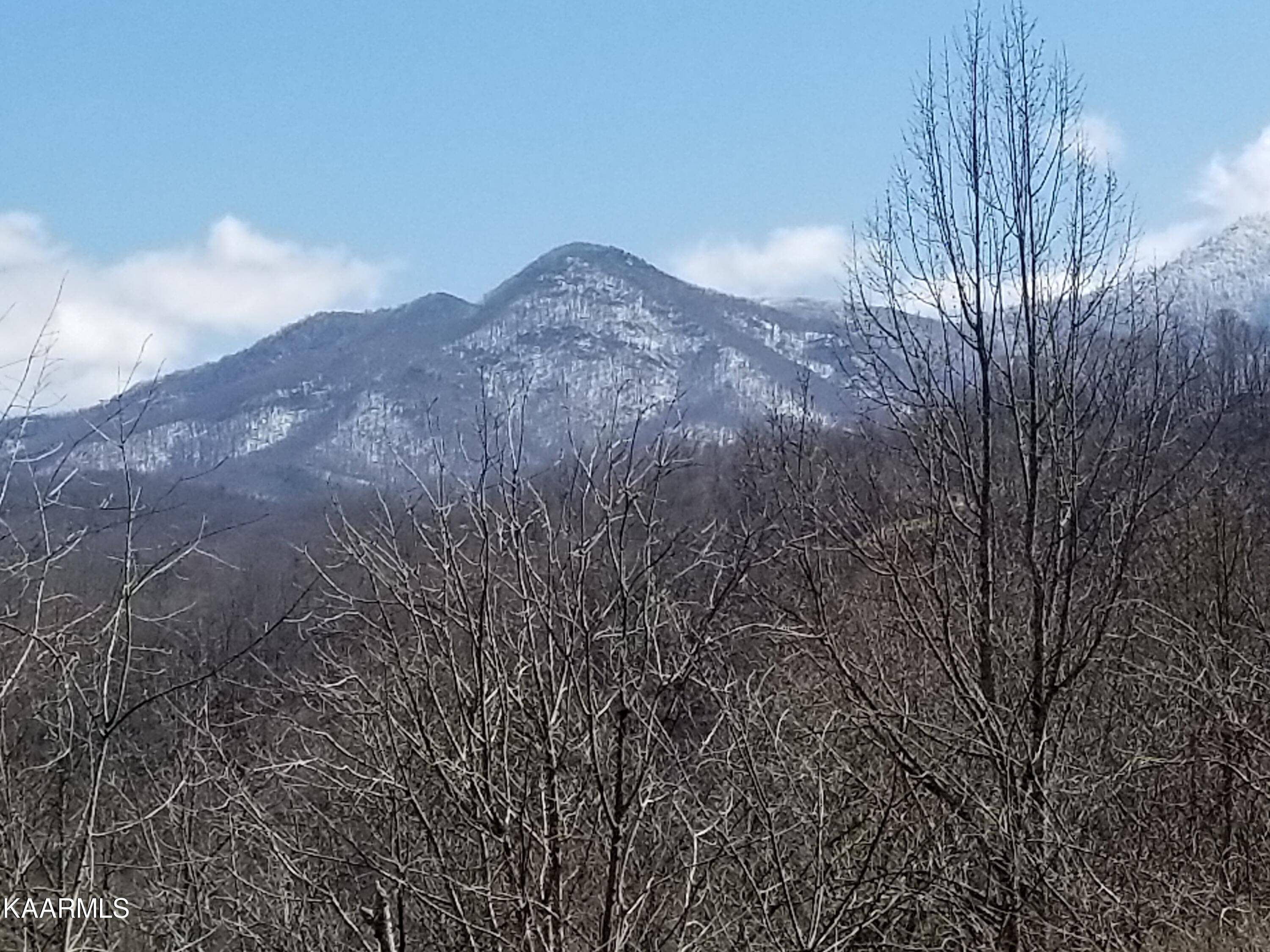 Gatlinburg, TN 37738,Ridge Top LOOP