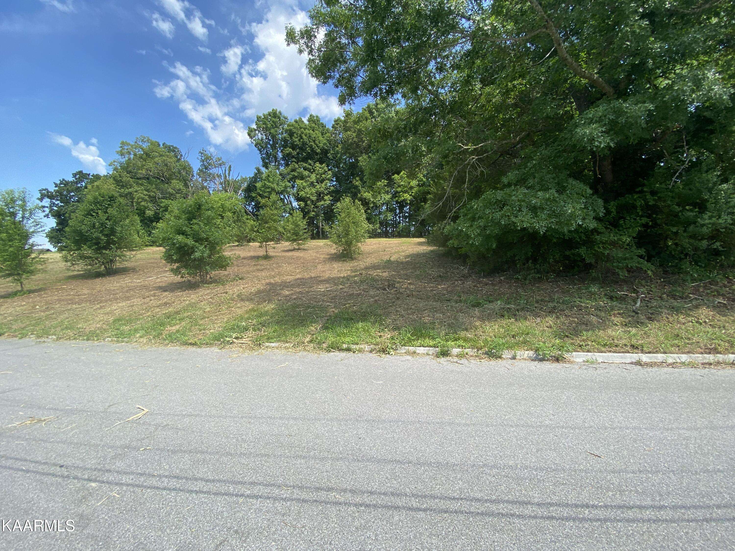 Sevierville, TN 37862,Lot #19 Sunrise DR