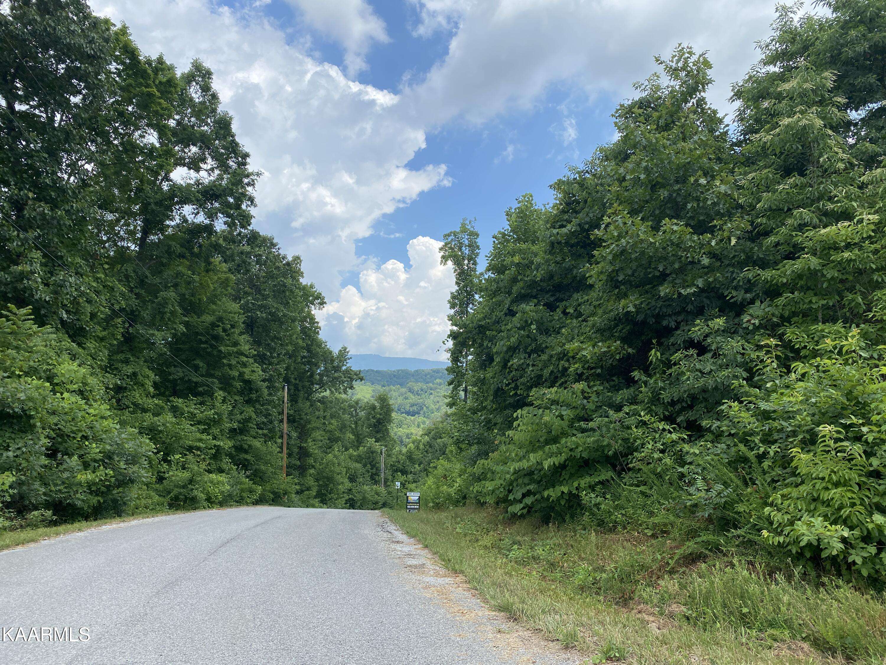 Speedwell, TN 37870,Lot 110 Harness LN