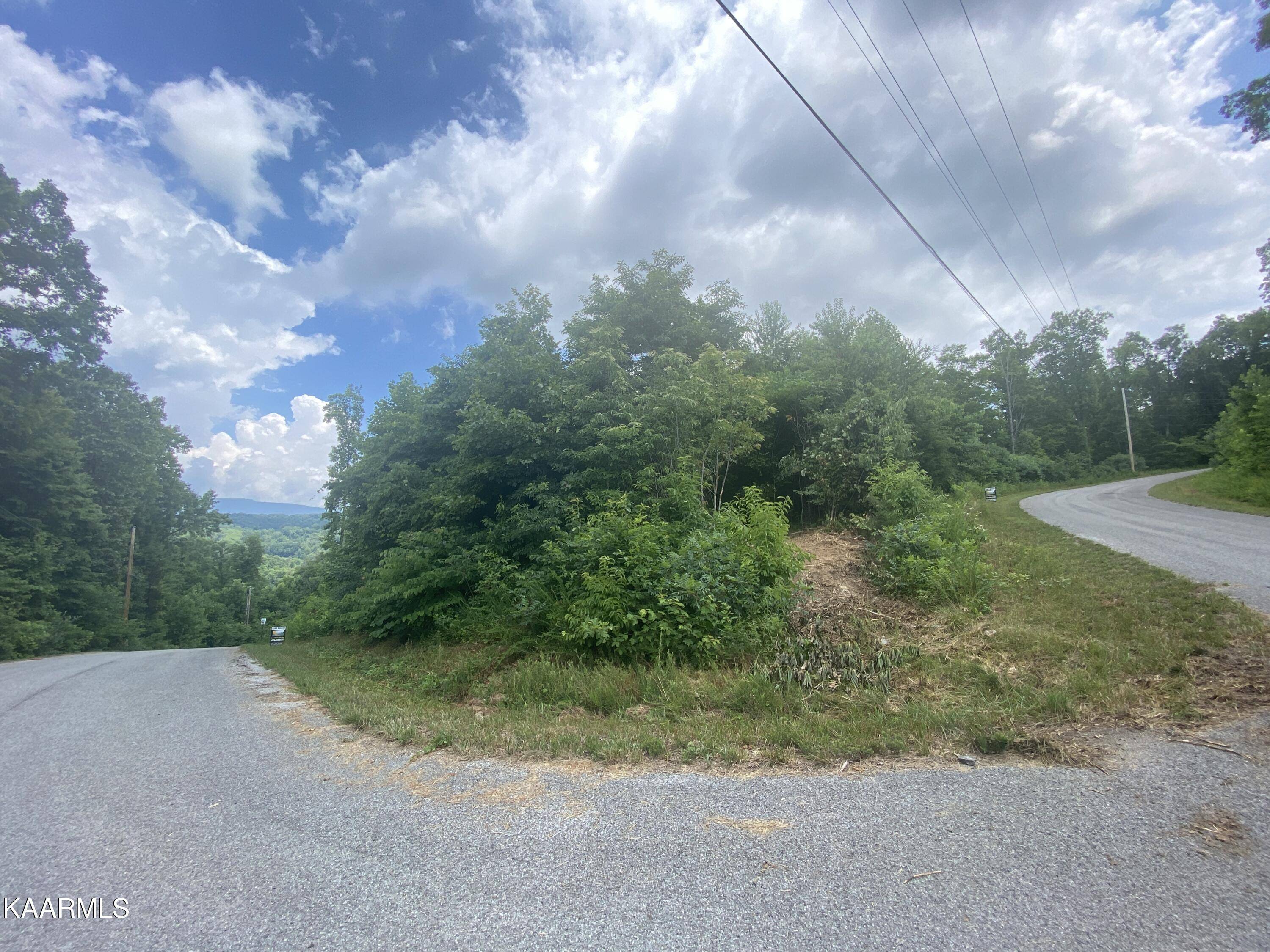 Speedwell, TN 37870,Lot 110 Harness LN