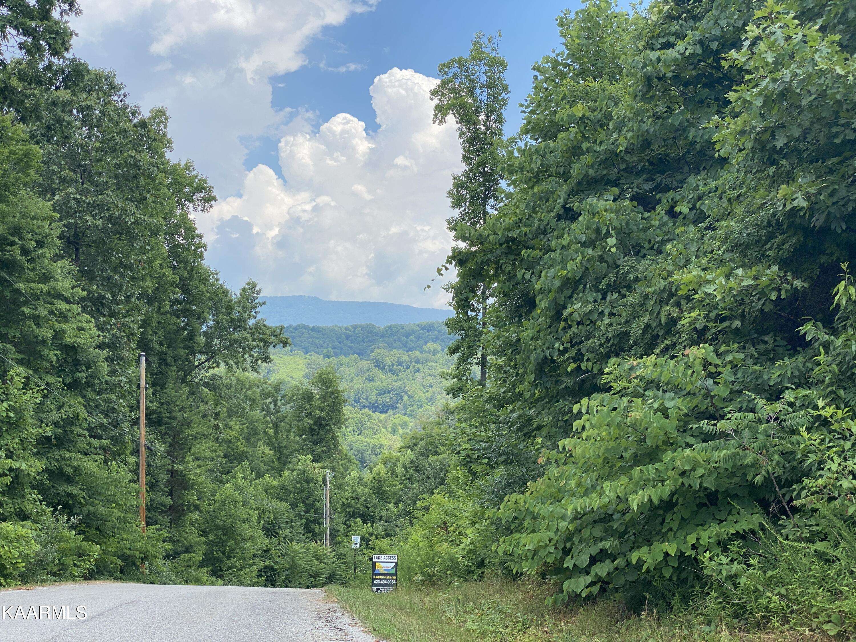 Speedwell, TN 37870,Lot 110 Harness LN