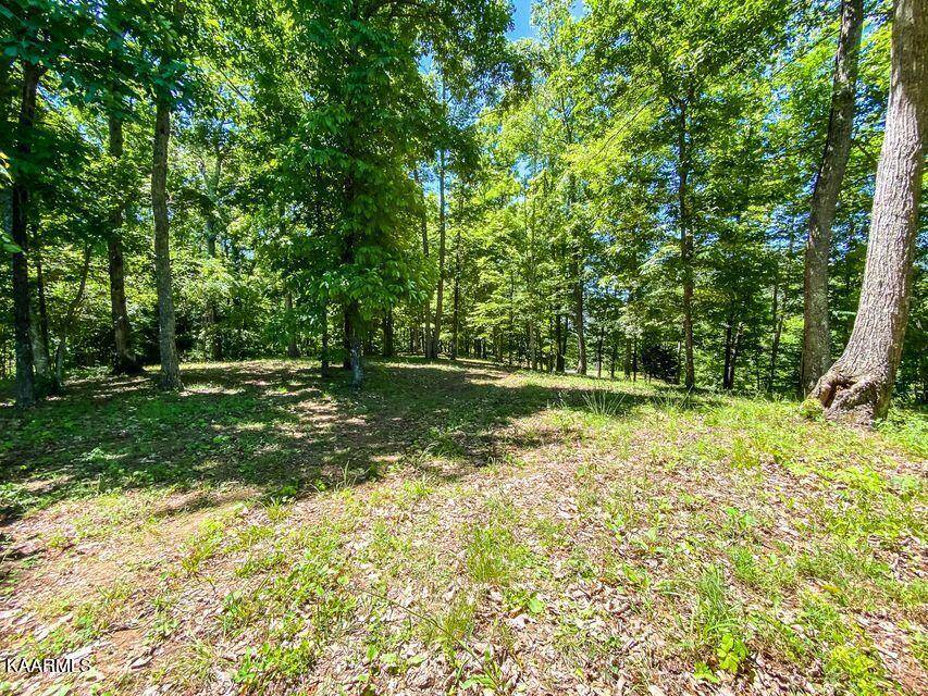 Maynardville, TN 37807,Hickory Pointe LN