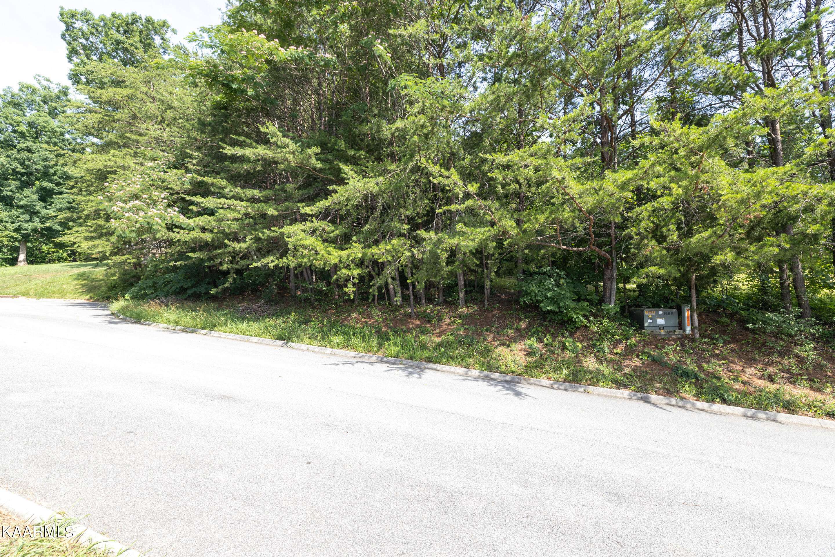 Seymour, TN 37865,Lot 34 Pioneer DR