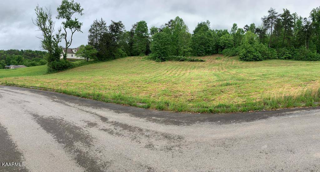 Strawberry Plains, TN 37871,lot 8 Briar Ridge LN