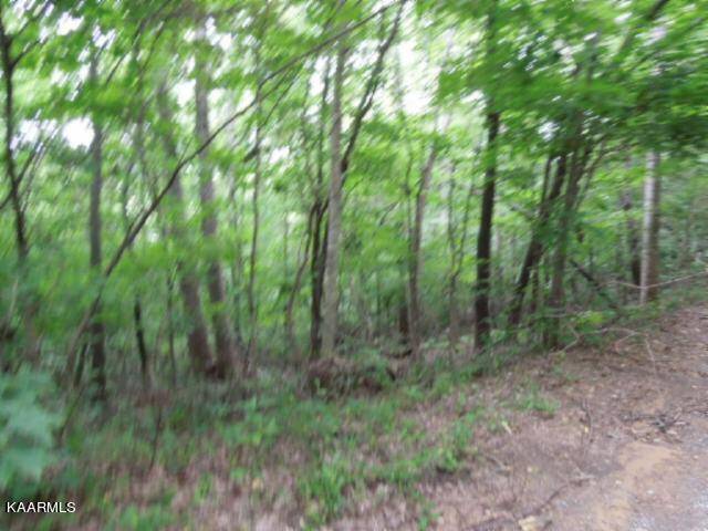 Celina, TN 38551,Lot 7 Star Point Road