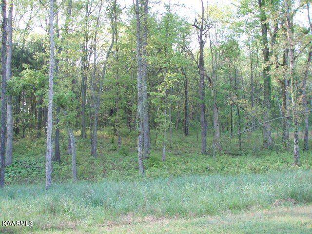 Rockwood, TN 37854,lot 159 Ridge Top DR