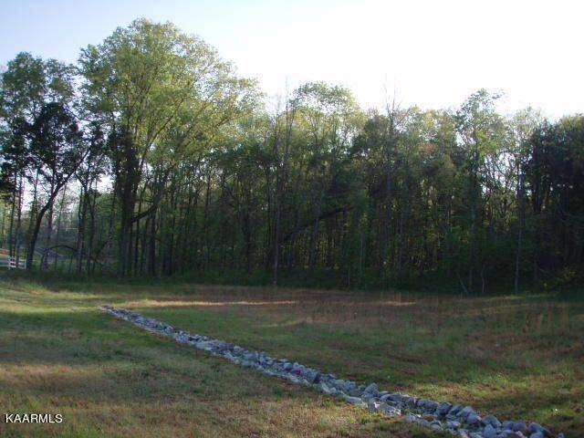 Rockwood, TN 37854,lot 159 Ridge Top DR