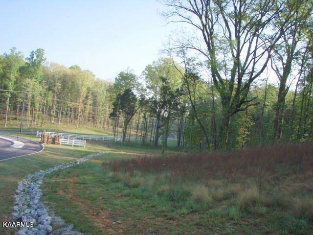 Rockwood, TN 37854,lot 159 Ridge Top DR