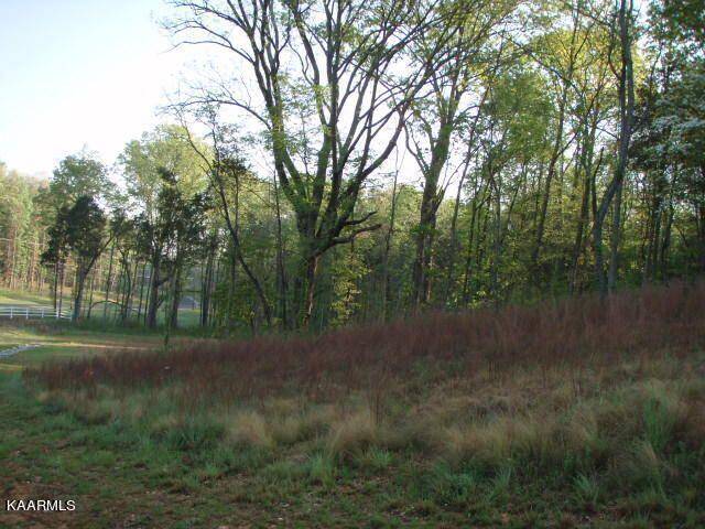 Rockwood, TN 37854,lot 159 Ridge Top DR