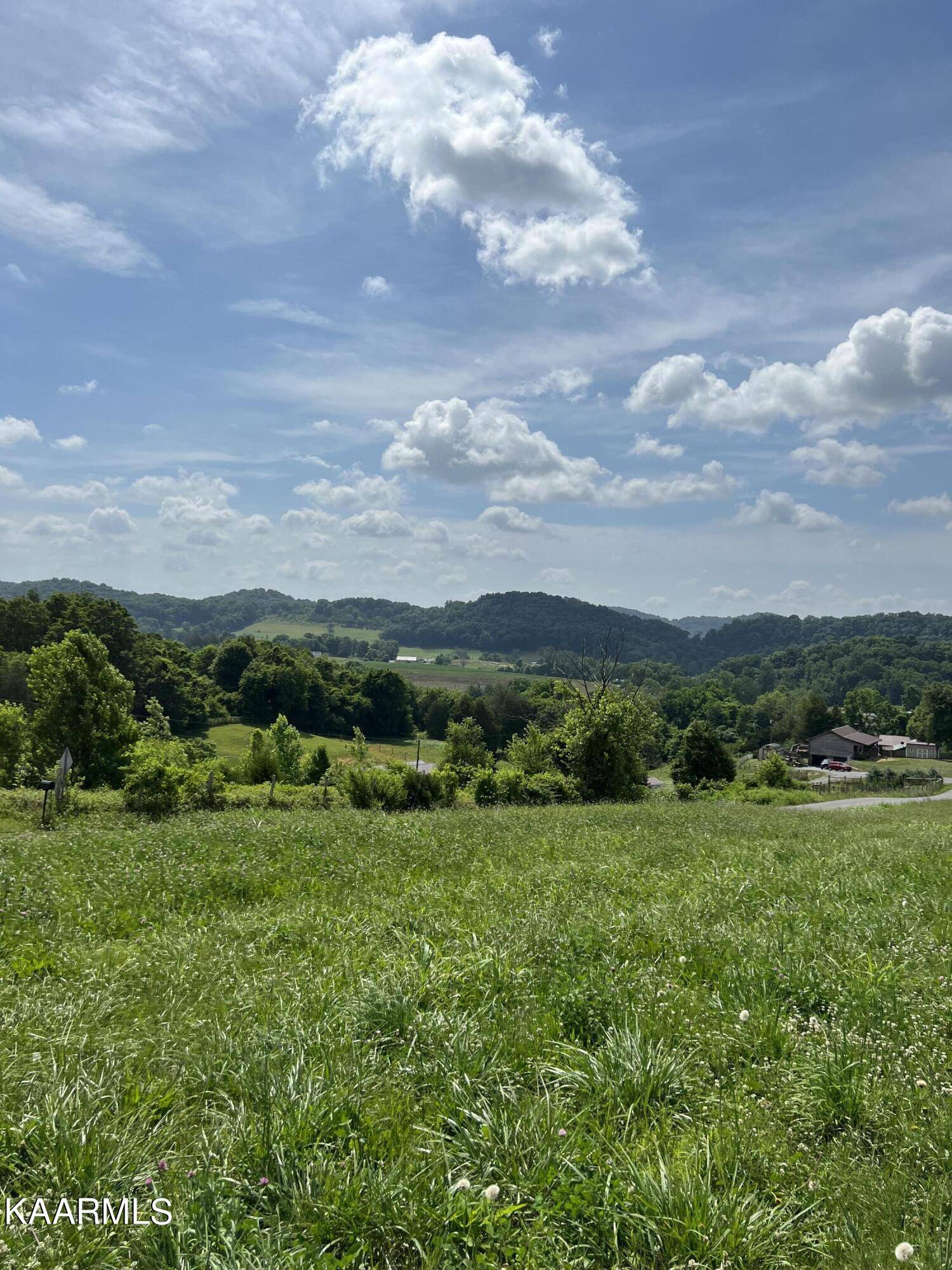 Rogersville, TN 37857,00 Meadow View Rd