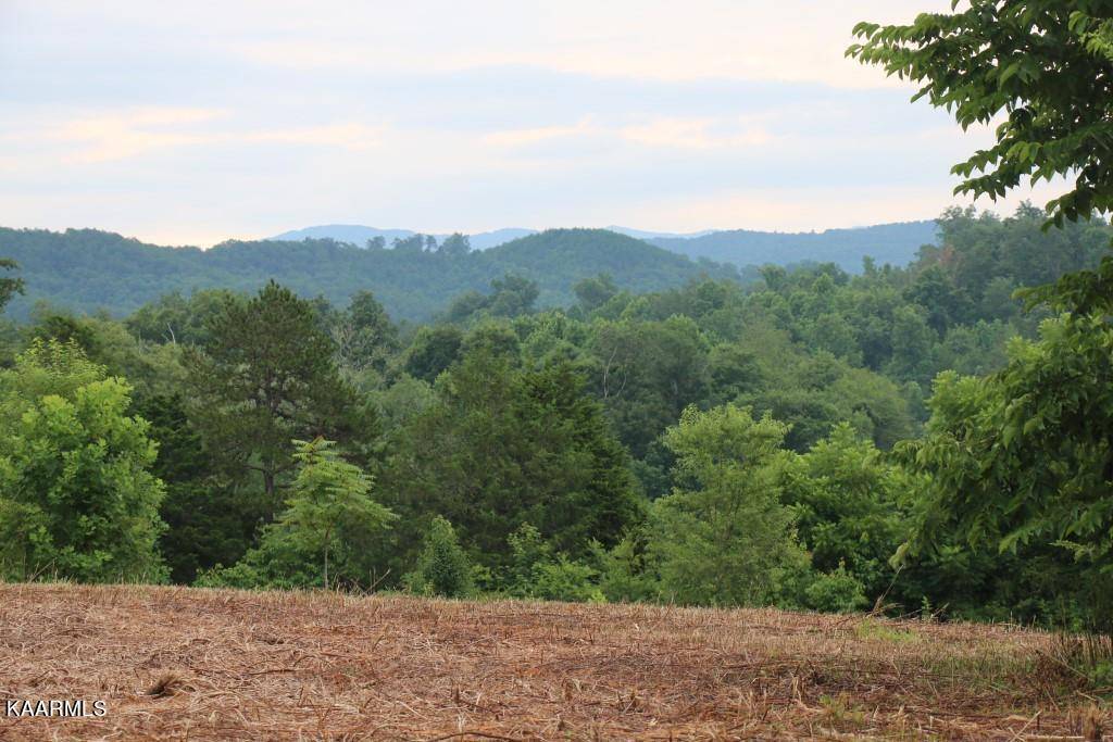 Tellico Plains, TN 37385,42 Acres Hwy 360