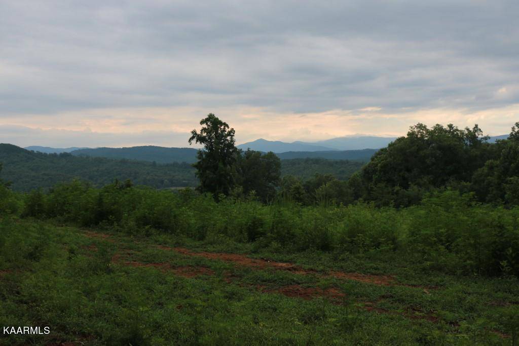 Tellico Plains, TN 37385,42 Acres Hwy 360