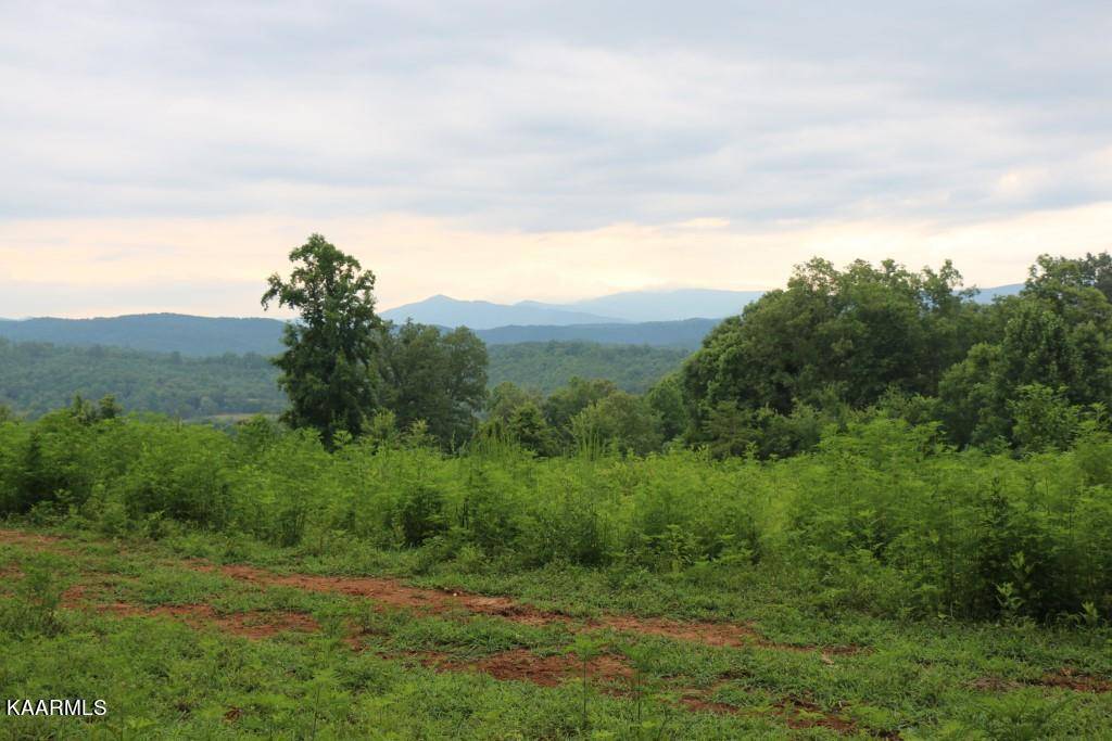 Tellico Plains, TN 37385,42 Acres Hwy 360