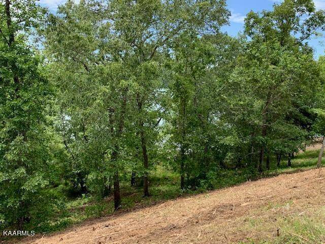 Rockwood, TN 37854,Lot 414 Mountain DR