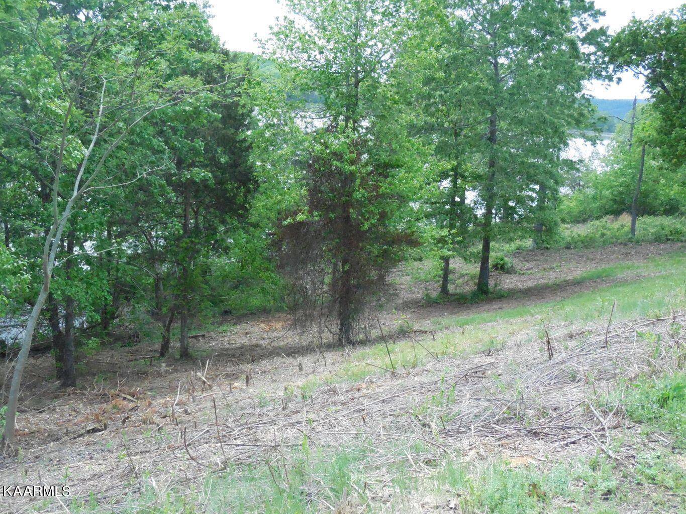 Rockwood, TN 37854,Lot 414 Mountain DR