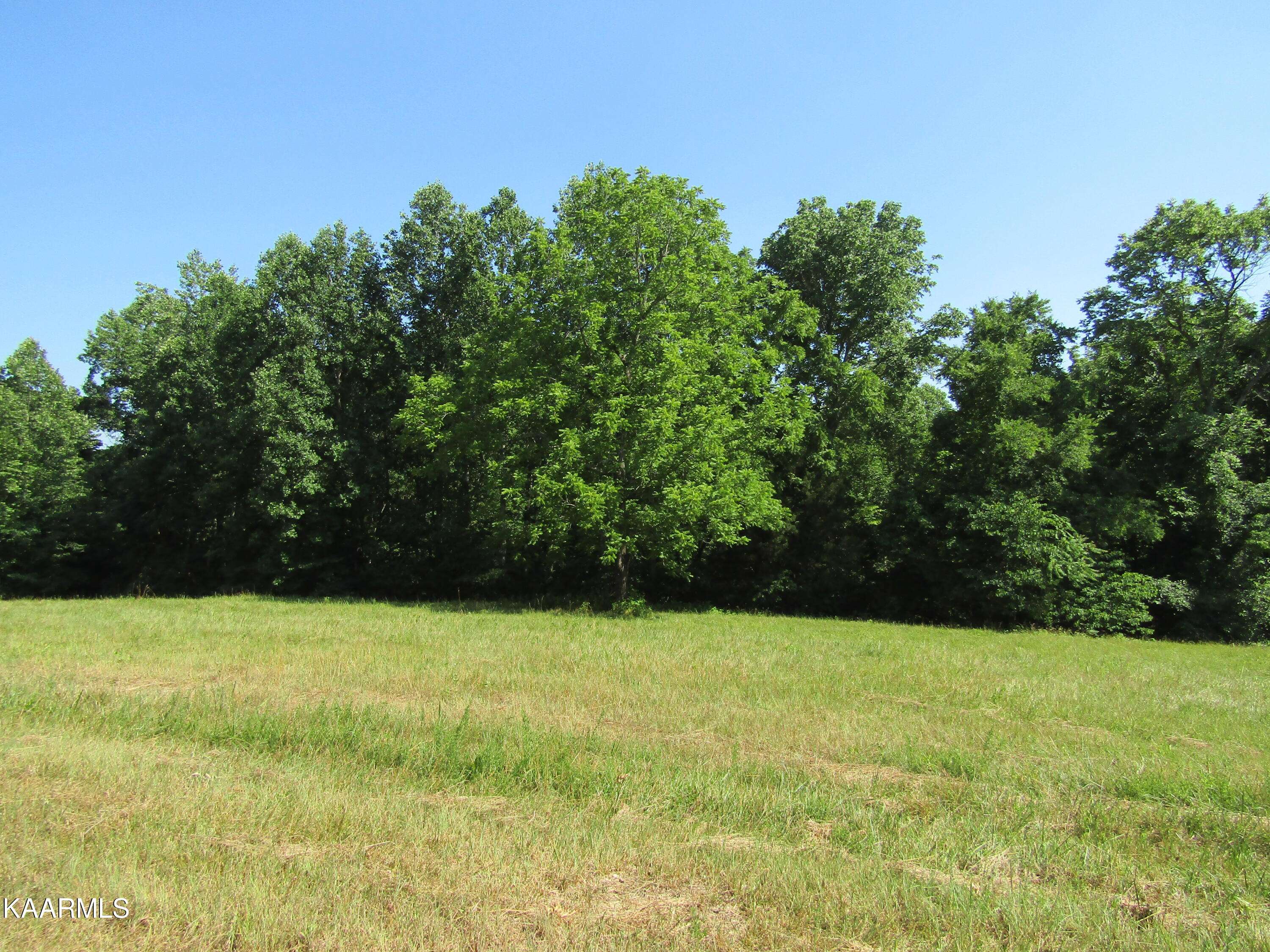 Moss, TN 38575,Lot 22 Arrowhead #Rd.