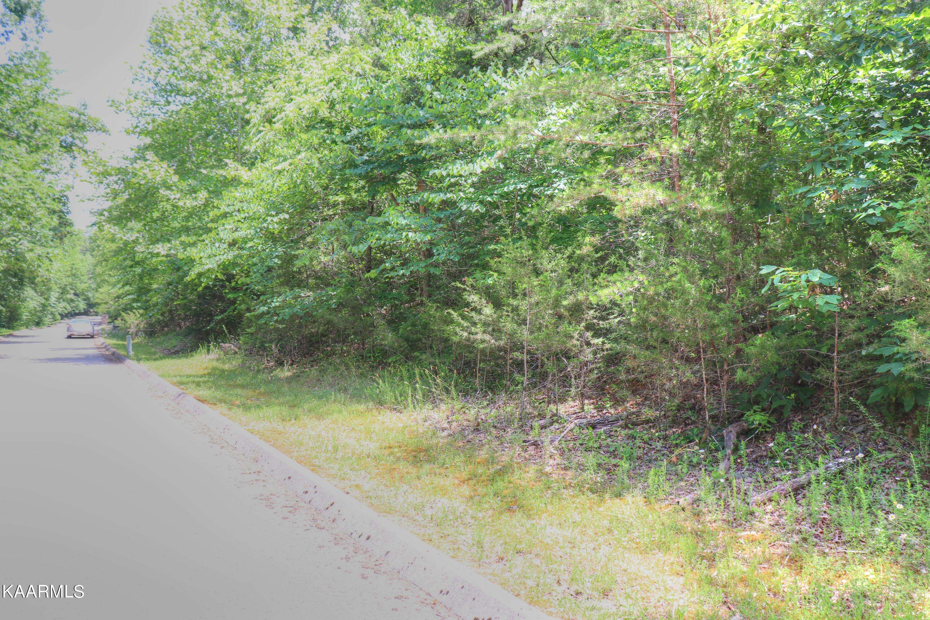 Tazewell, TN 37879,Lot 113 Eagles Ridge