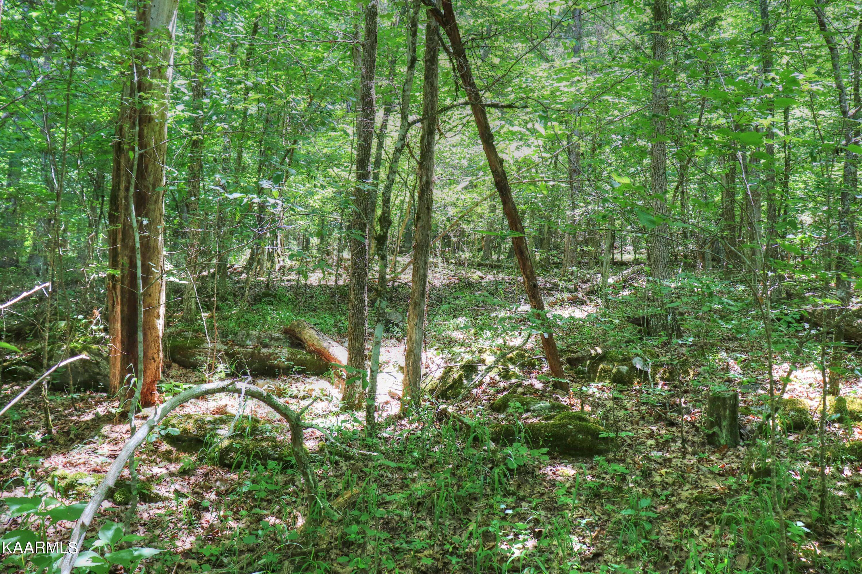 Tazewell, TN 37879,Lot 113 Eagles Ridge