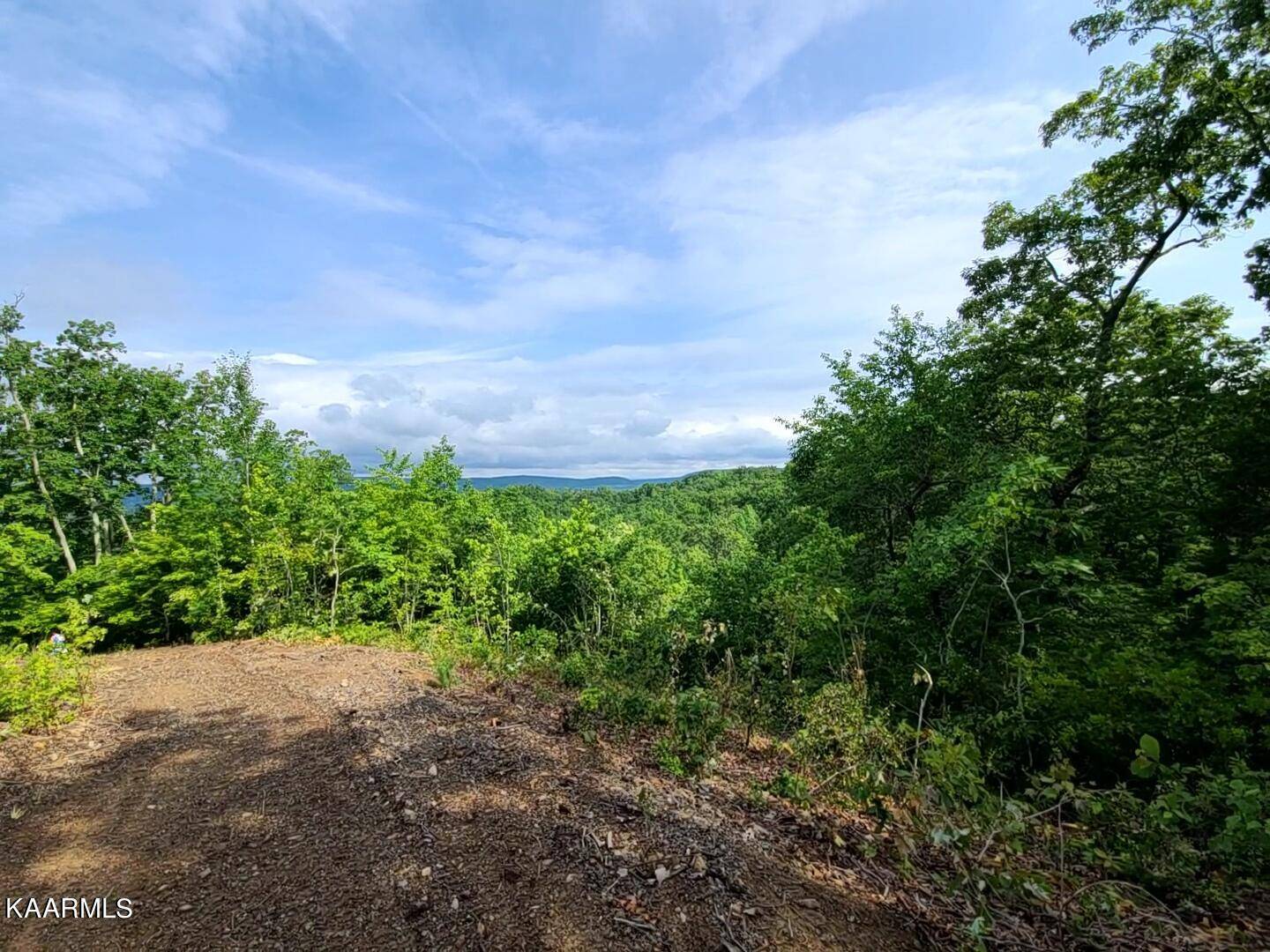 Rockwood, TN 37854,Lot # 21 Ridgeline DR