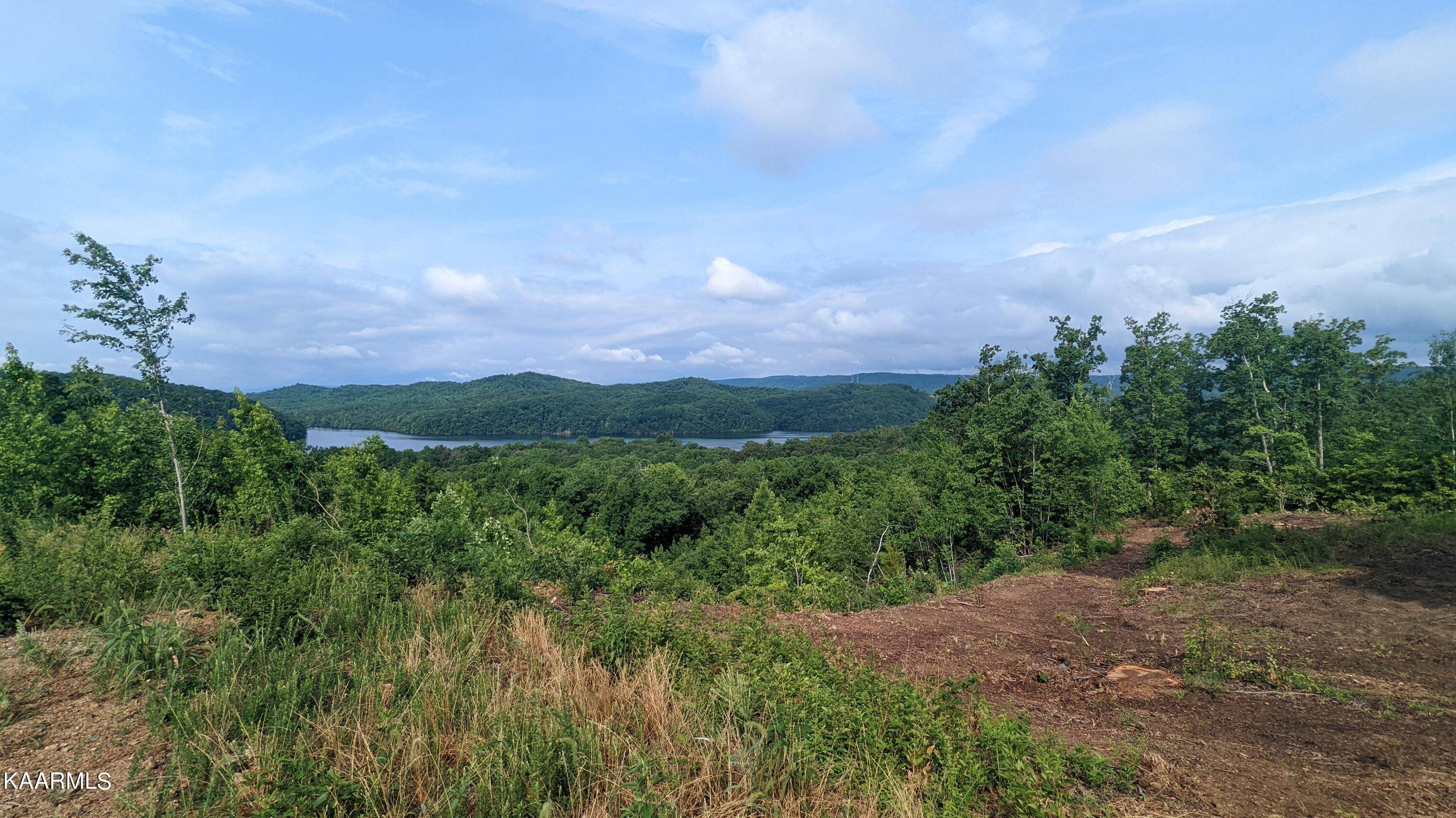 Rockwood, TN 37854,Lot # 21 Ridgeline DR