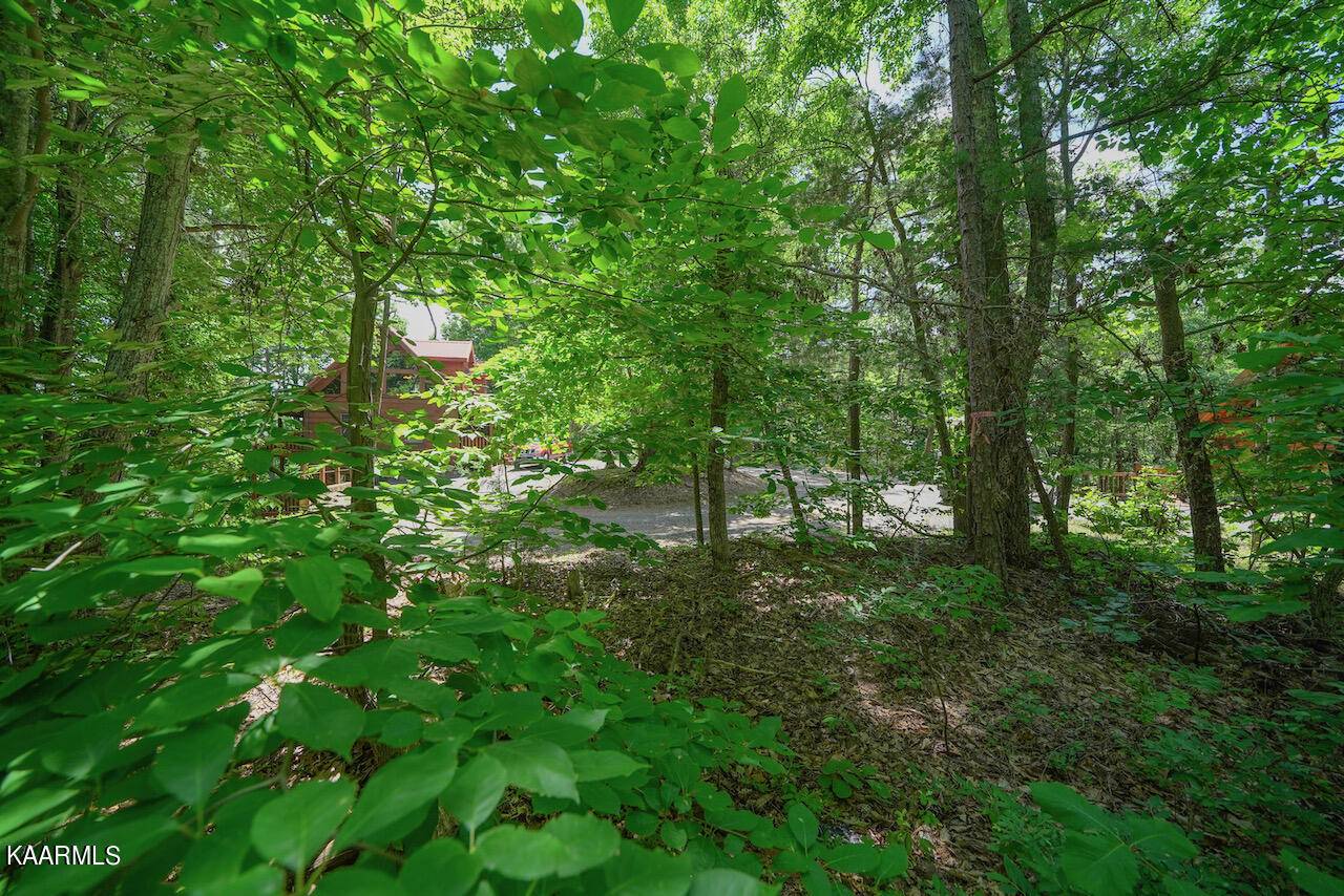 Sevierville, TN 37876,Lot 603 High View CT