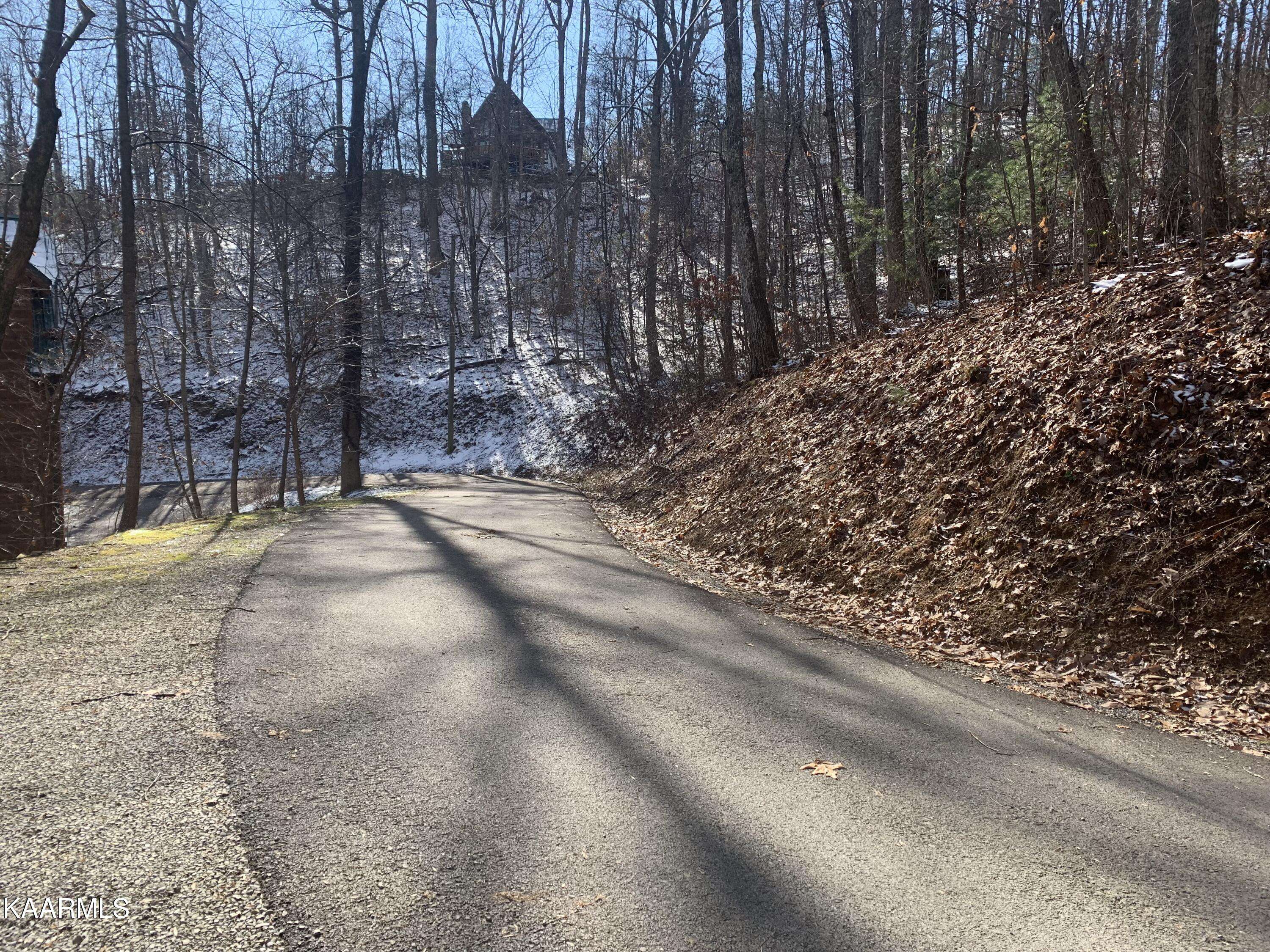 Sevierville, TN 37876,Lot 658 Cherry View LN