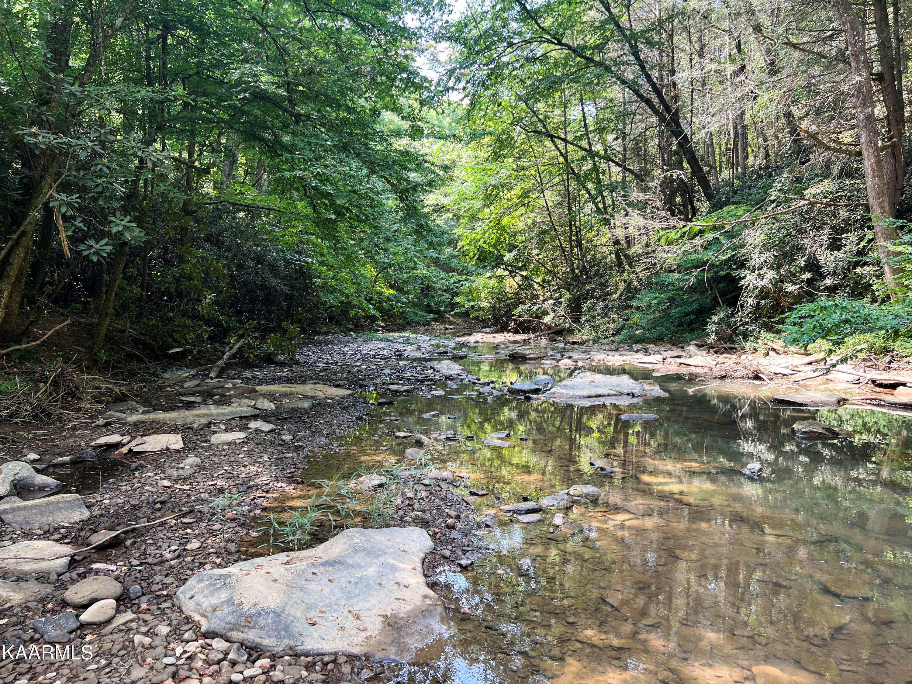 Oliver Springs, TN 37840,265 Frost Bottom Rd