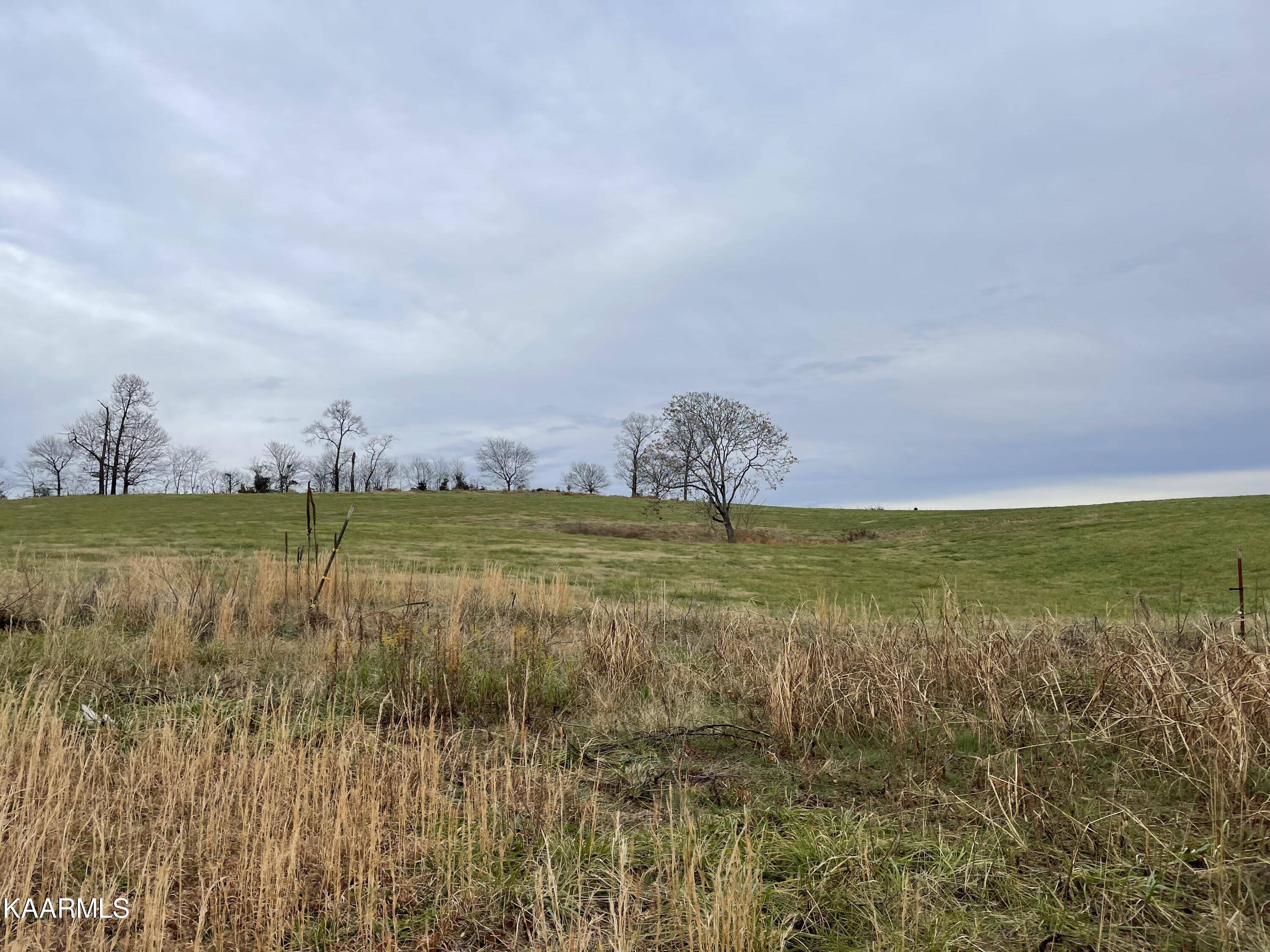 Rutledge, TN 37861,Lot 11 Howell River Rd