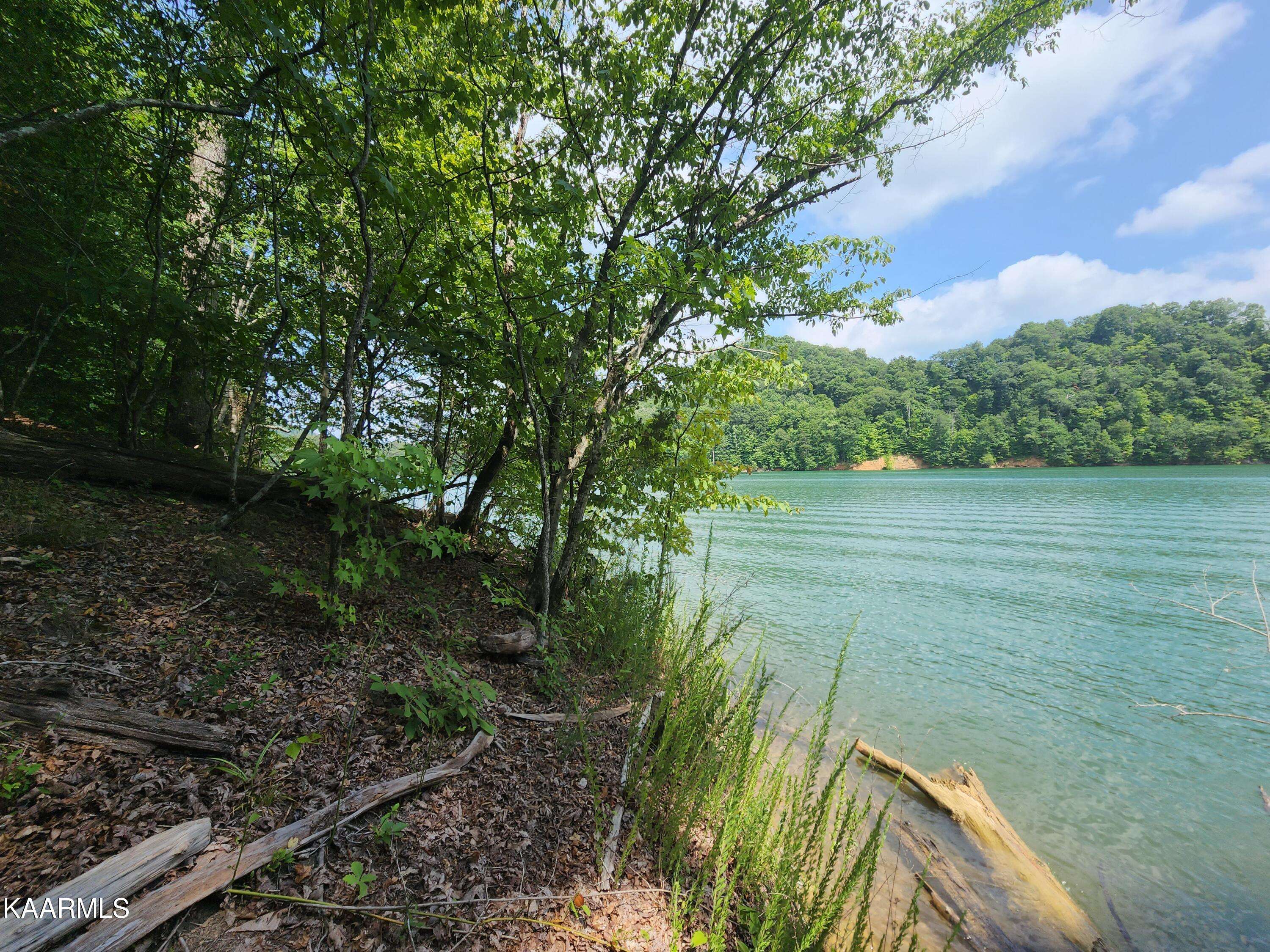 New Tazewell, TN 37825,Lot 36 Mountain Shores Road Rd