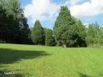 Oliver Springs, TN 37840,389 Scandlyn Hollow Rd