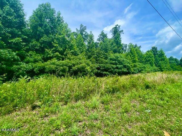 Crawford, TN 38554,0 White Oak LN