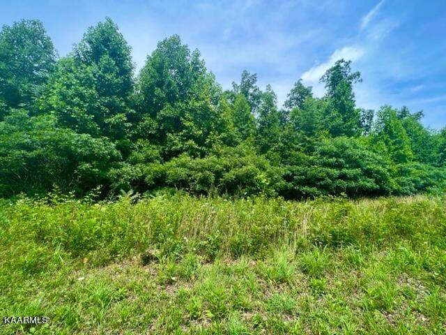 Crawford, TN 38554,0 White Oak LN