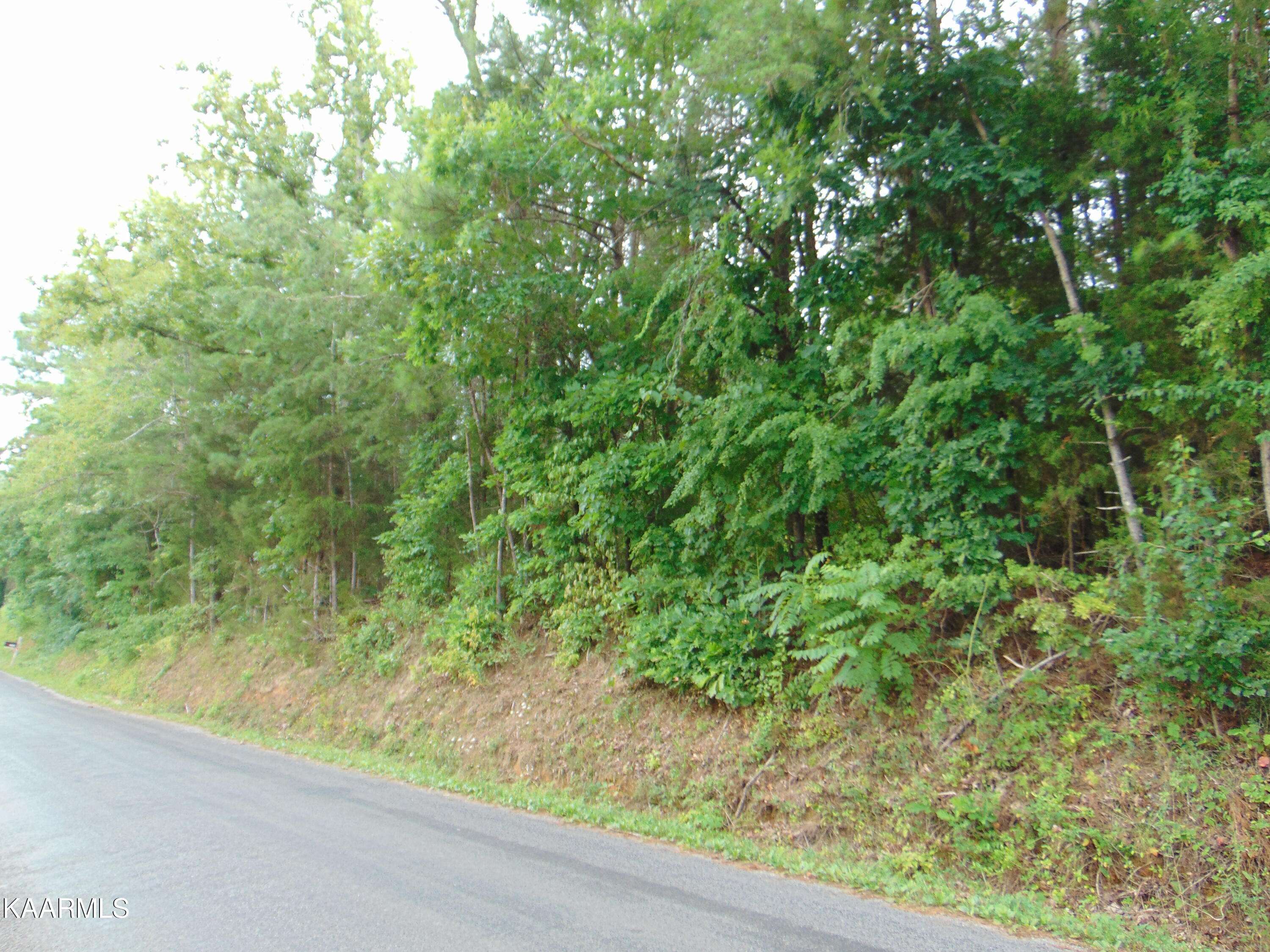 Dayton, TN 37321,14.25 ac Pete Worthington Road