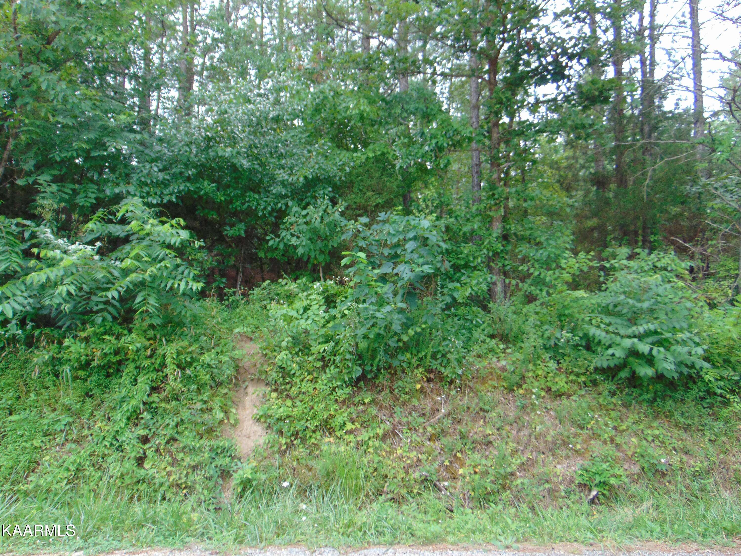 Dayton, TN 37321,14.25 ac Pete Worthington Road