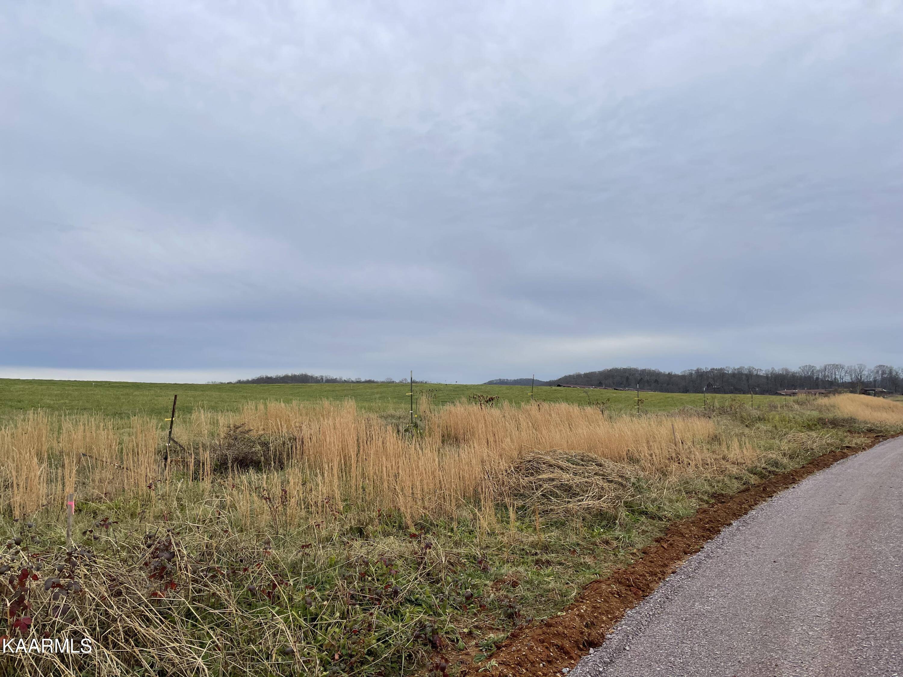 Rutledge, TN 37861,Lot 82 Howell River Rd