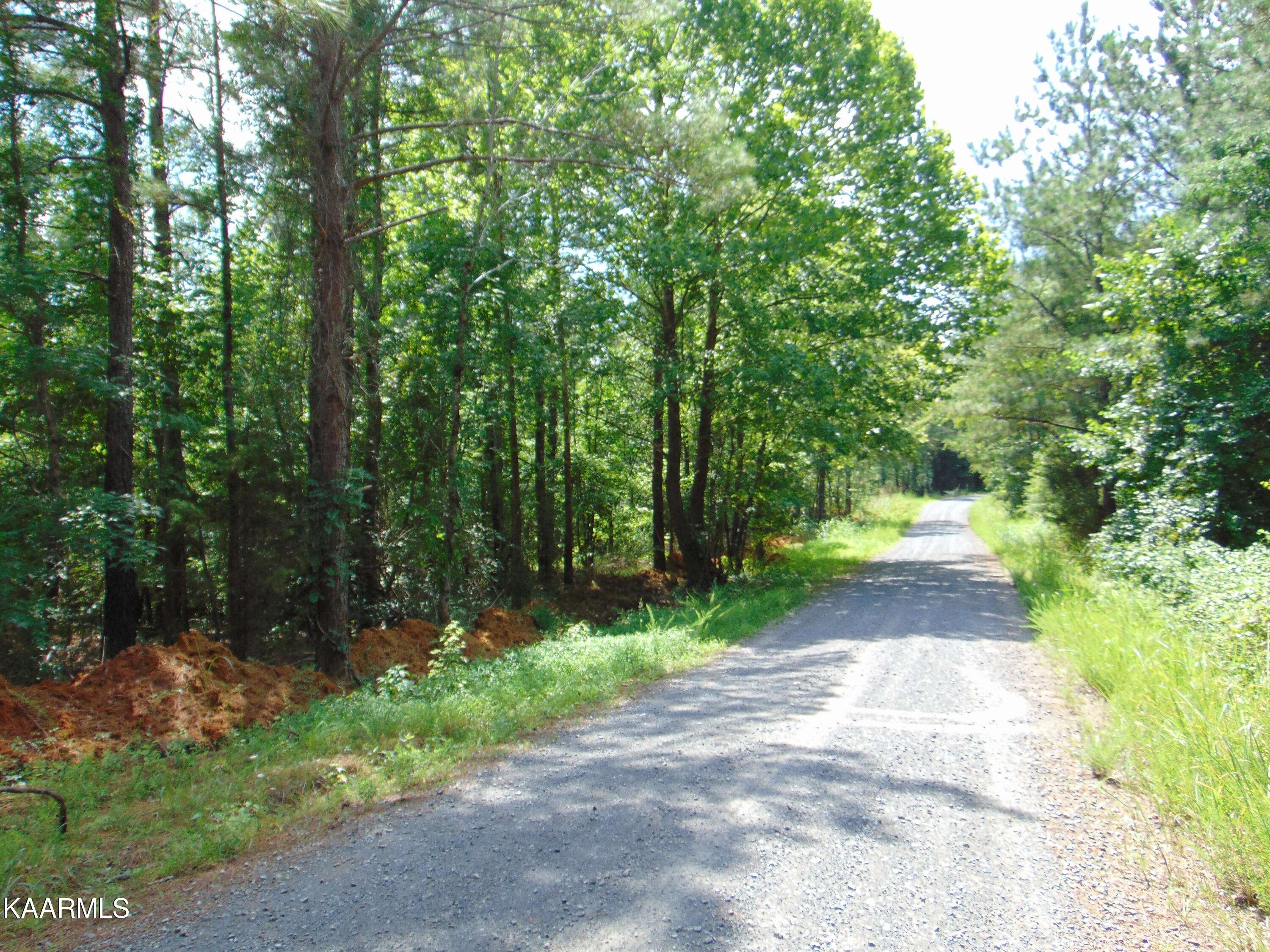 Decatur, TN 37322,Tract 4 Charles Road