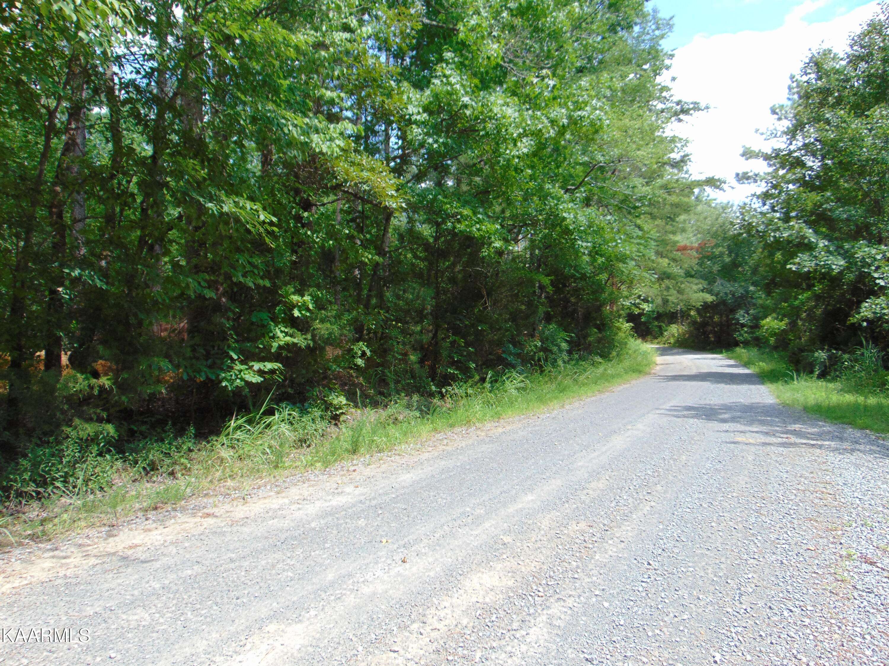 Decatur, TN 37322,Tract 2D Charles Road