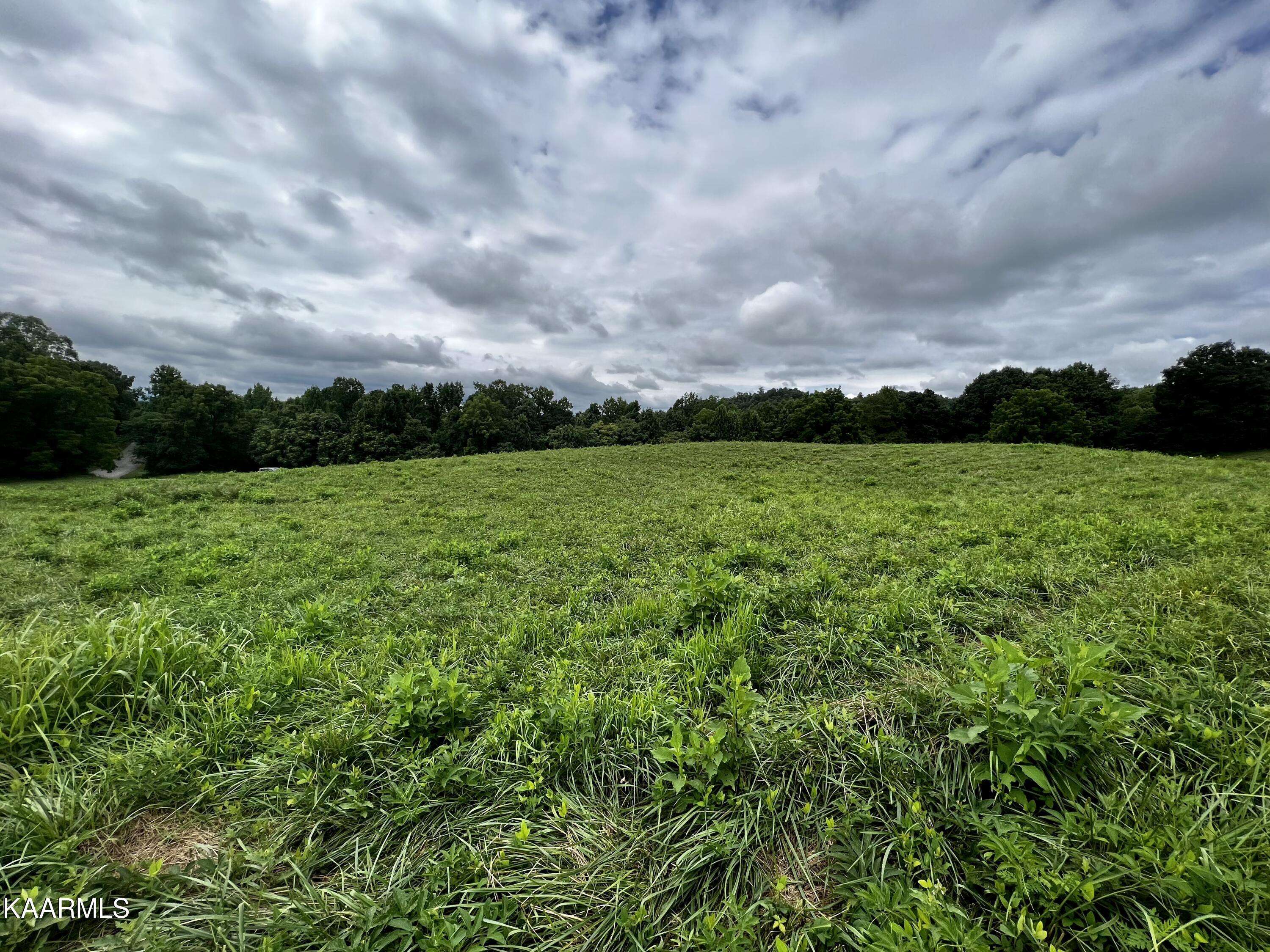 New Tazewell, TN 37825,Lot 133 Cinnabar DR